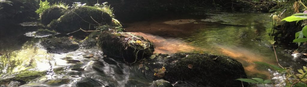 Stepping stones in the river