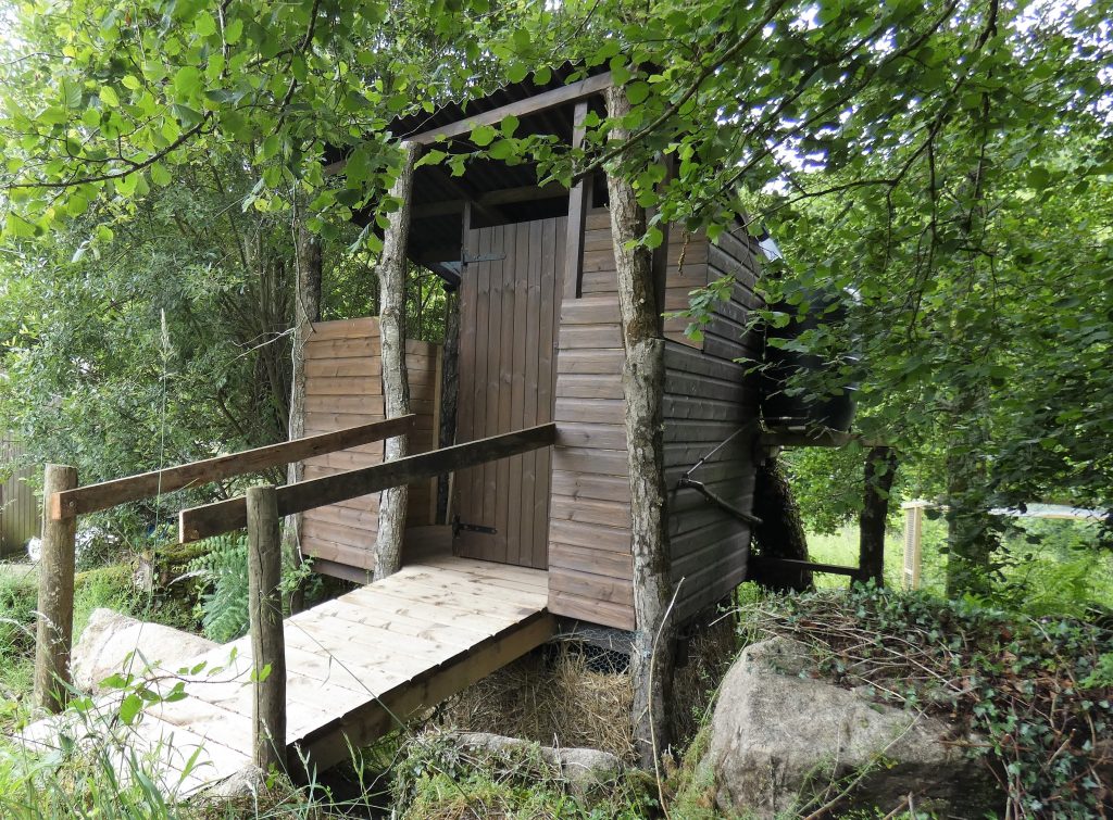 Tree bog, accessible, ramp, rainwater, sustainable