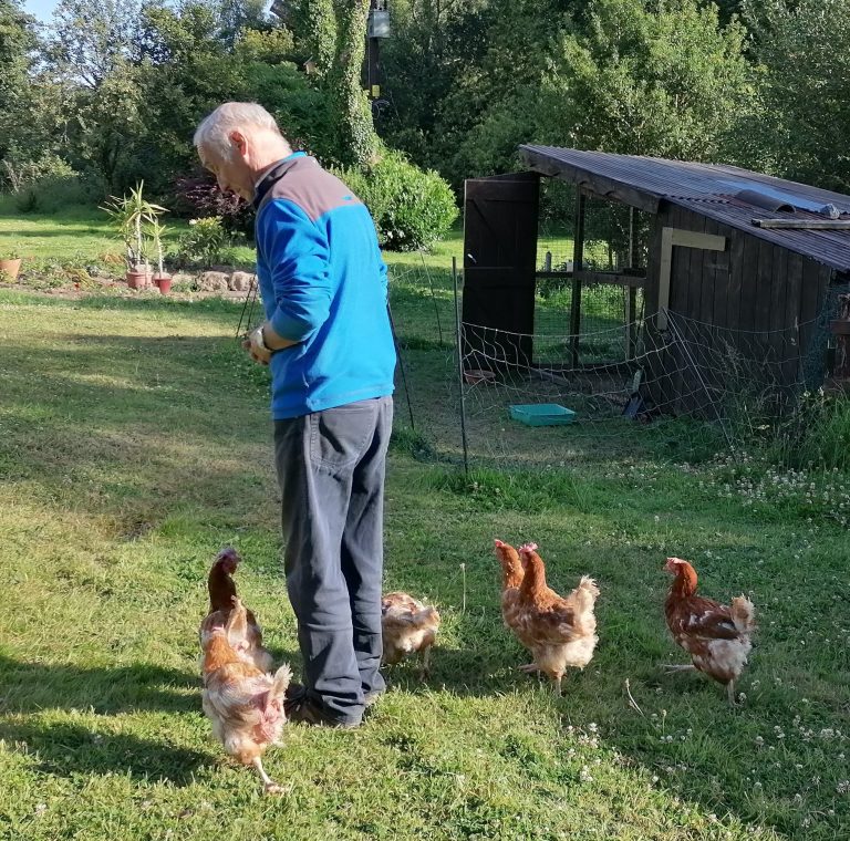 Rescued hens go for a walk with Kevin