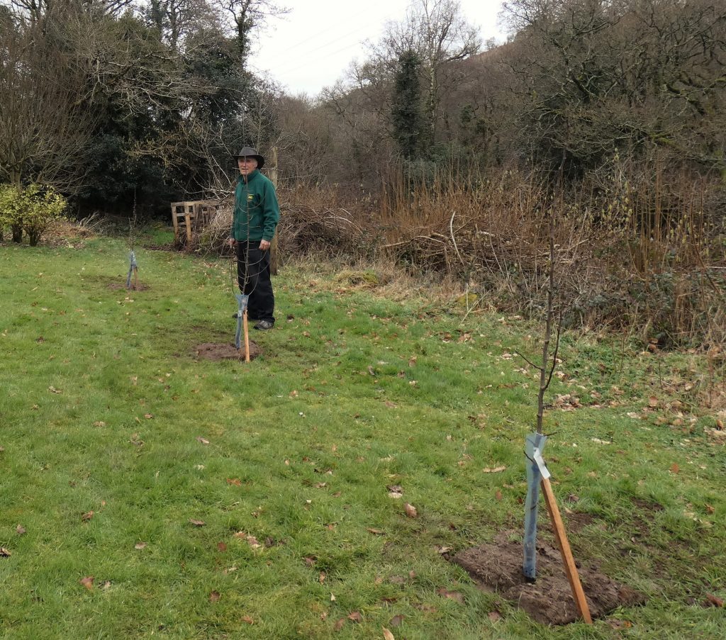 Kevin with the three fruit trees close to the house