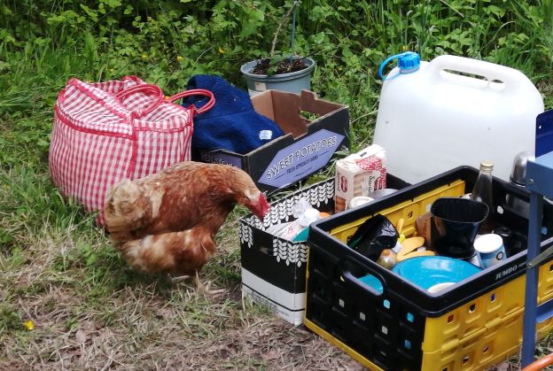 Vera exploring the campers provisions