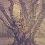 Pastel sketch of the "octupus tree" by GA Stevens