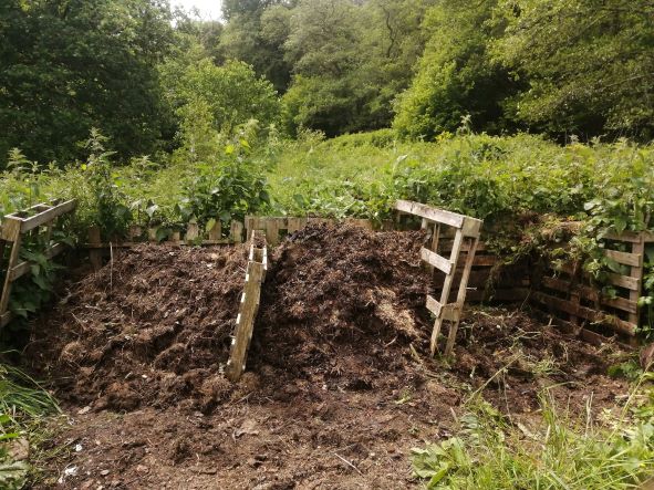 Three bay compost heap made from wooden pallets.