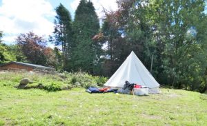 Bell tent on Hay Meadow Orange Pitch