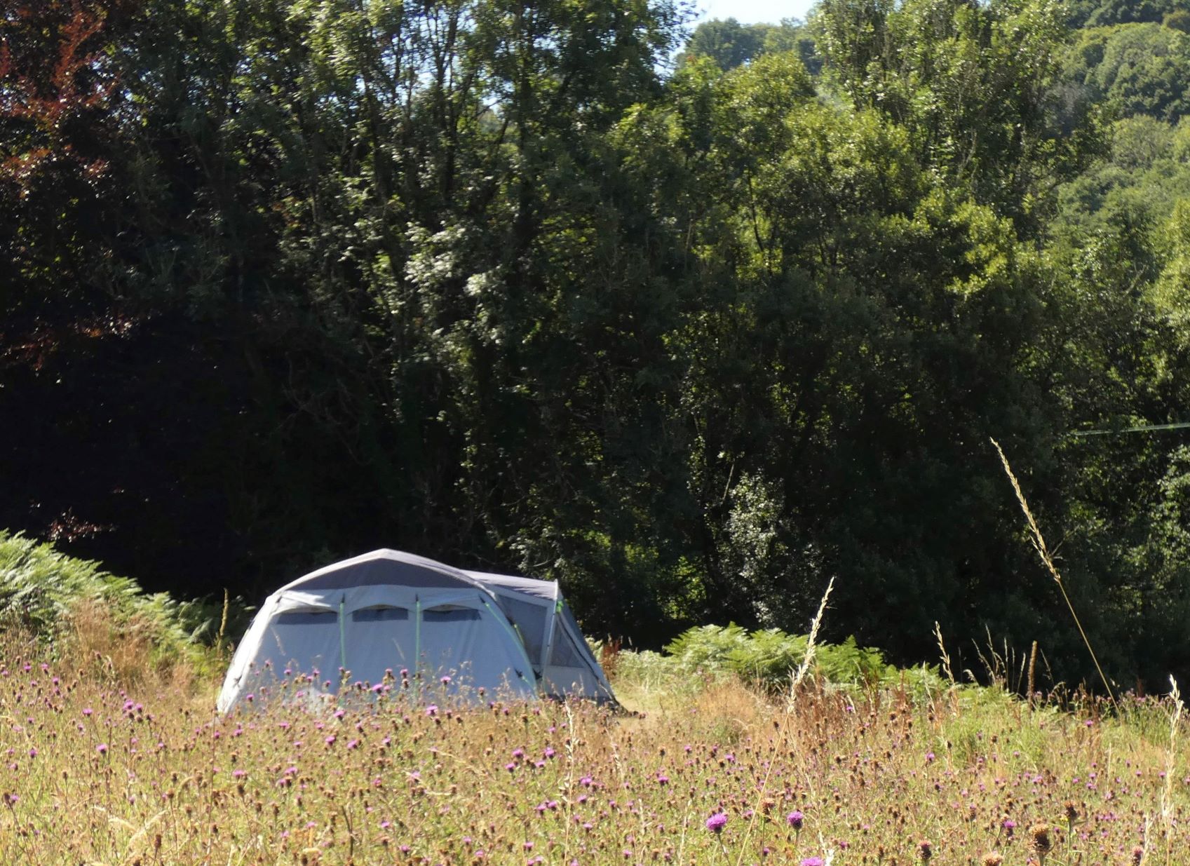 Bell tent on Hay Meadow Orange Pitch