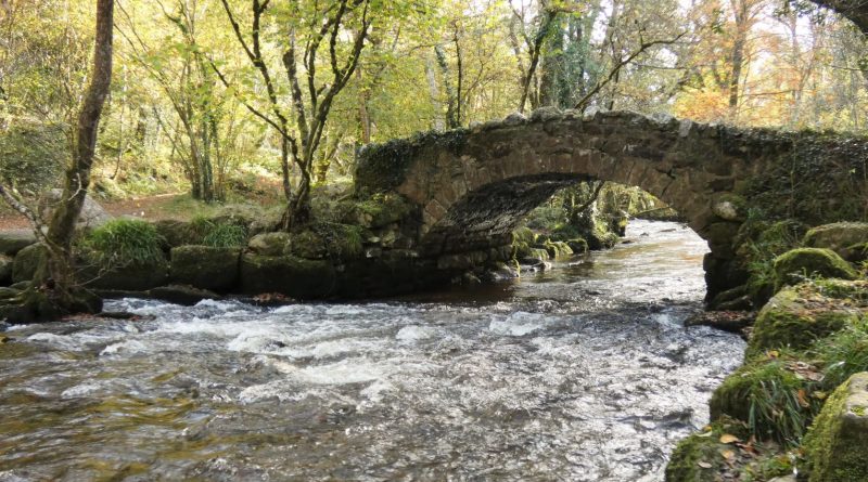 View of Hisley Bridge - a stone drovers' bridge over the River Bovey