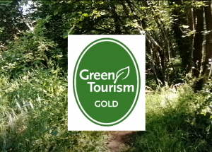 Green Tourism Gold Award logo on woodland background