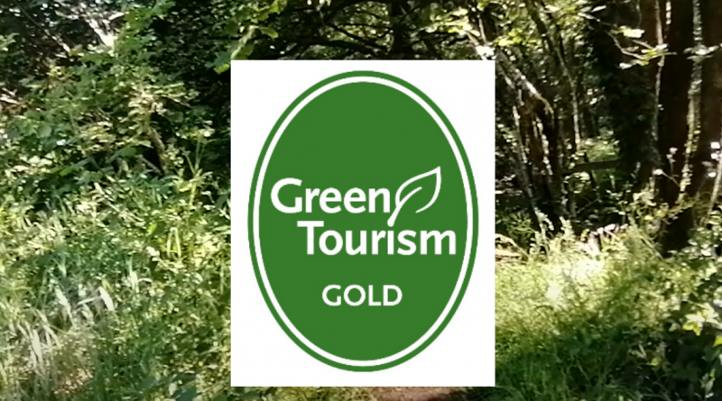 Green Tourism Gold Award logo on woodland background