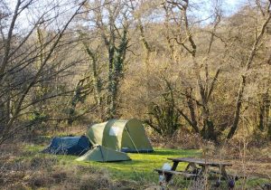 Water Meadow pitch set in the trees with three tents and a picnic table