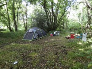 Cathedral Ptich - family nearly wild camping in the woods