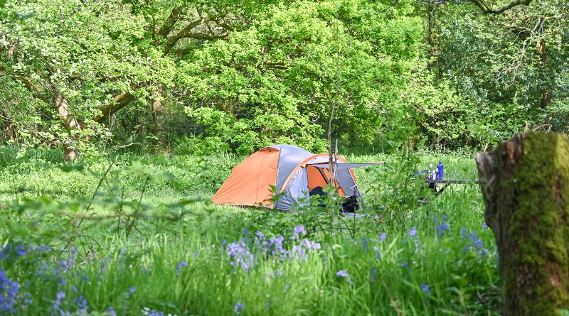 Dome tent on water meadow pitch