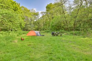 View of Water Meadow pitch with Gertie the Chicken in foreground and orange dome tent and picnic table in the rear