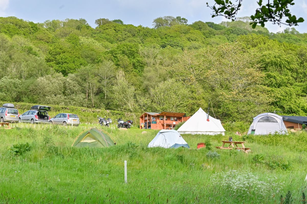 Hay Meadow Yellow Pitch from below with two lightweight tents