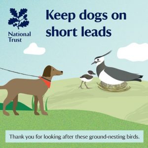 Keep dogs on short leads poster during ground nesting season