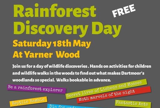 Rainforest Discovery Day poster