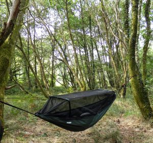 Hammock in woodland