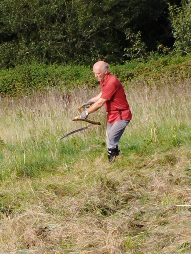 Kevin scything in the Hay Meadow