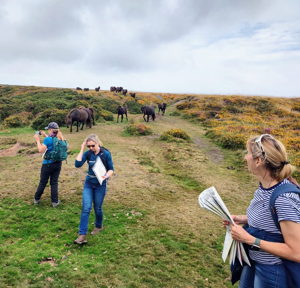 Three women brushing up on their navigation skills on Dartmoor.  Ponies in background