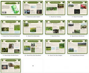 13 slides in viewer layout showing draft designs for interpretation boards