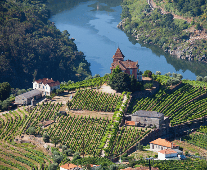 scenic shot of a church on a hill above a vineyard in the Douro Valley with a lake in the background