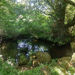 Shady bathing spot in the Wray Brook