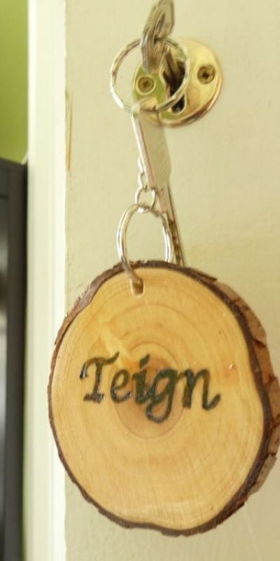 Teign Key Fob